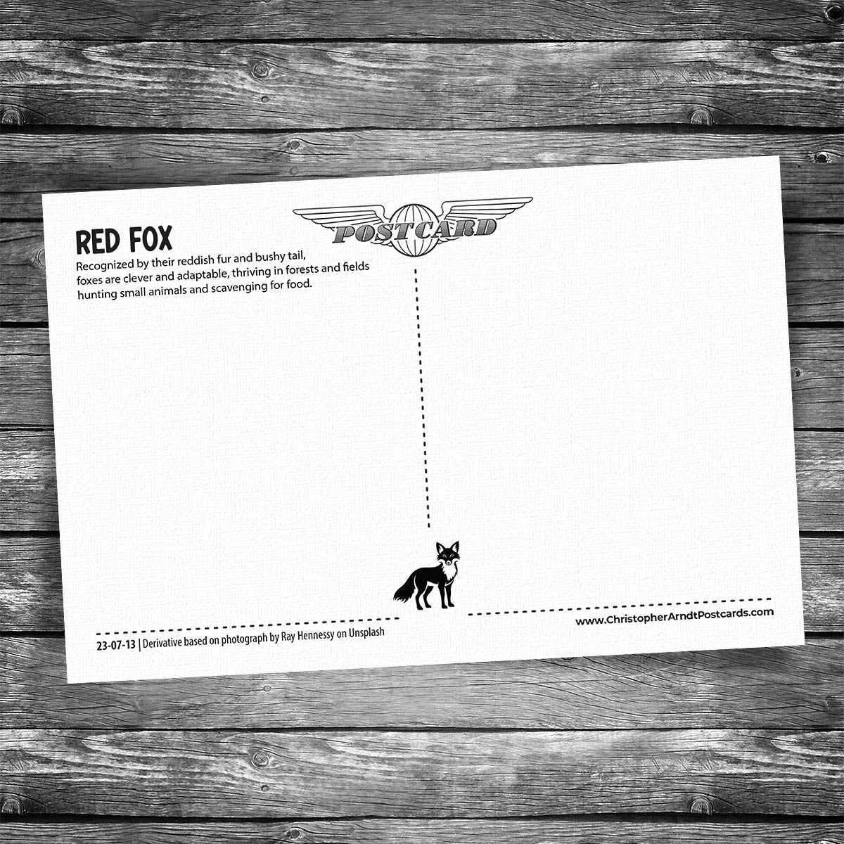 Red Fox Postcard