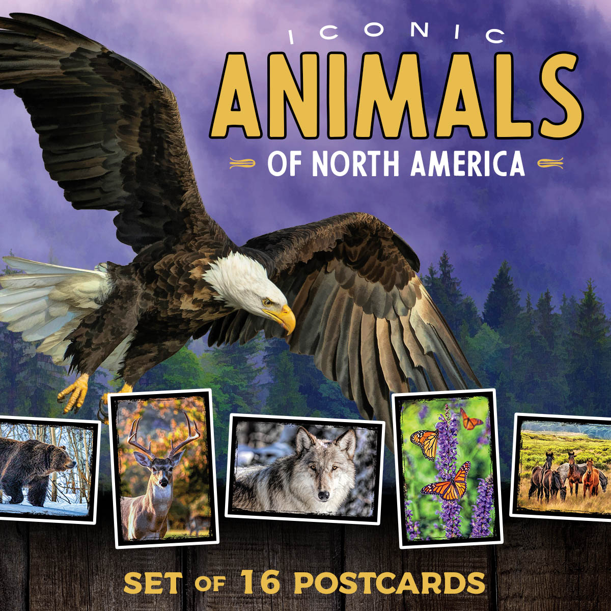 Iconic Animals of North America Postcards | Set of 16