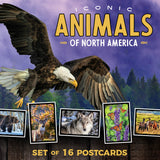 Iconic Animals of North America Postcards | Set of 16