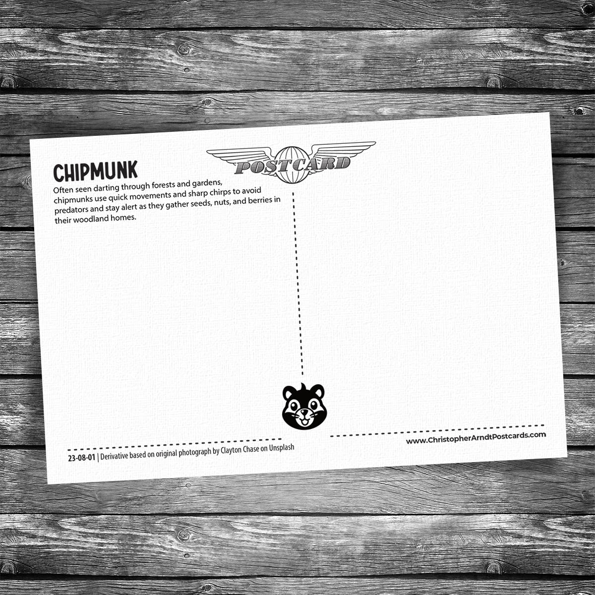 Chipmunk Postcard