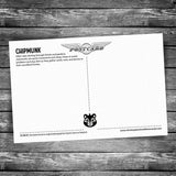 Chipmunk Postcard