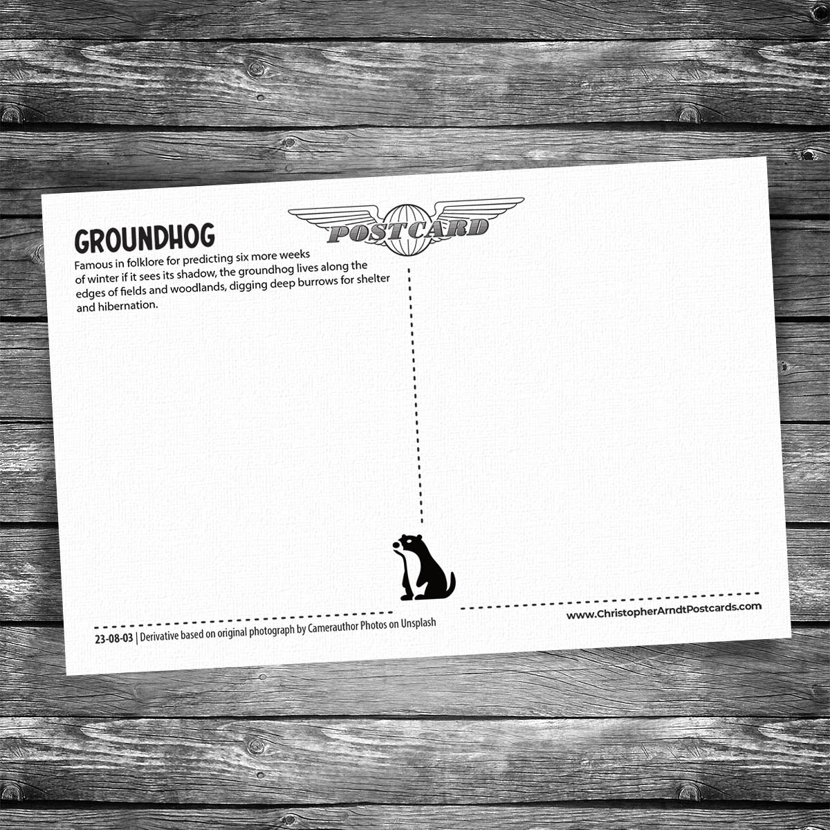 Groundhog Postcard