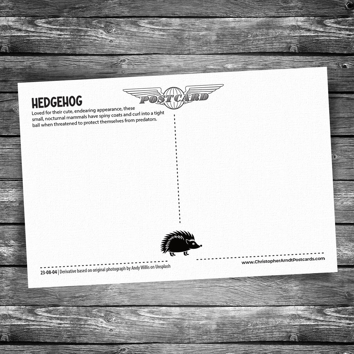 Hedgehog Postcard