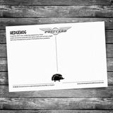 Hedgehog Postcard