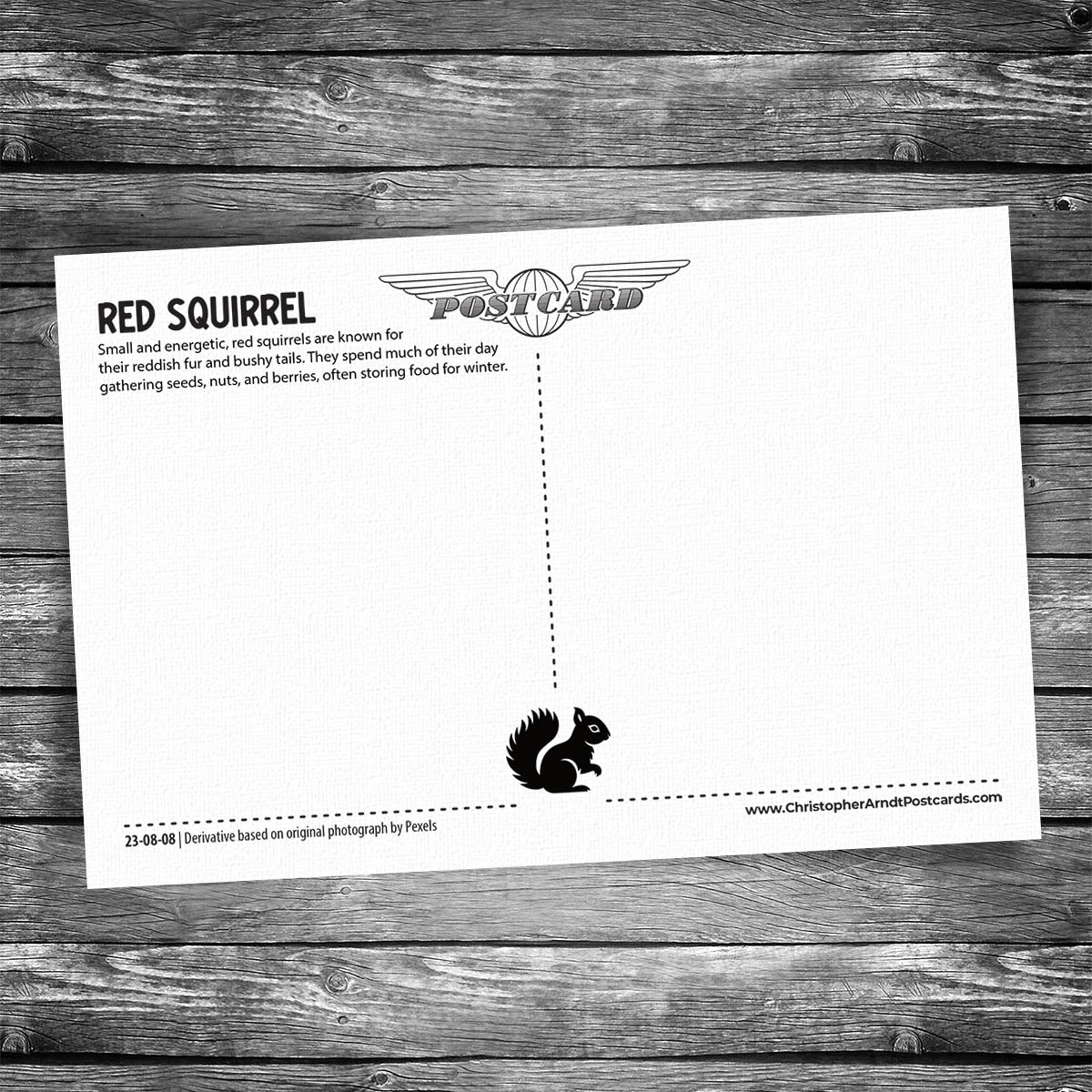 Red Squirrel Postcard