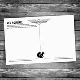 Red Squirrel Postcard