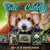 Cute and Cuddly Animal Postcards | Set of 8