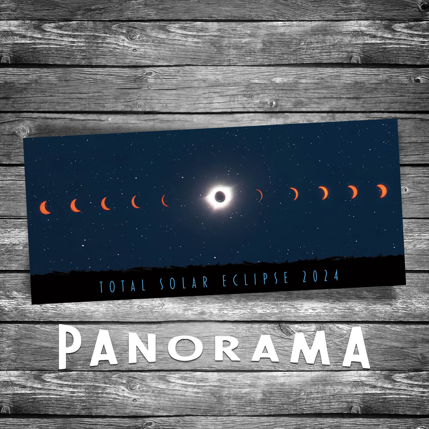 Complete Solar Eclipse Panorama Postcard
