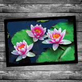 Water Lily Postcard