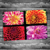 Dahlia Postcard