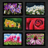 Flower Postcards | Set of 21