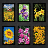 Flower Postcards | Set of 21