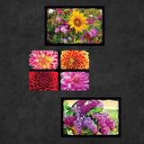 Flower Postcards | Set of 21