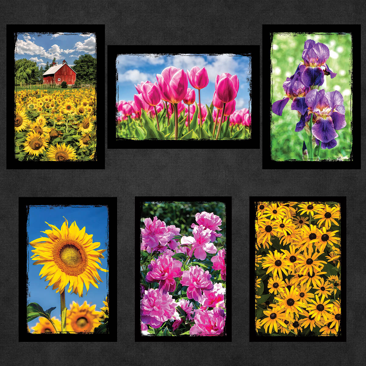 Flower Postcards | Set of 18