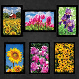 Flower Postcards | Set of 18