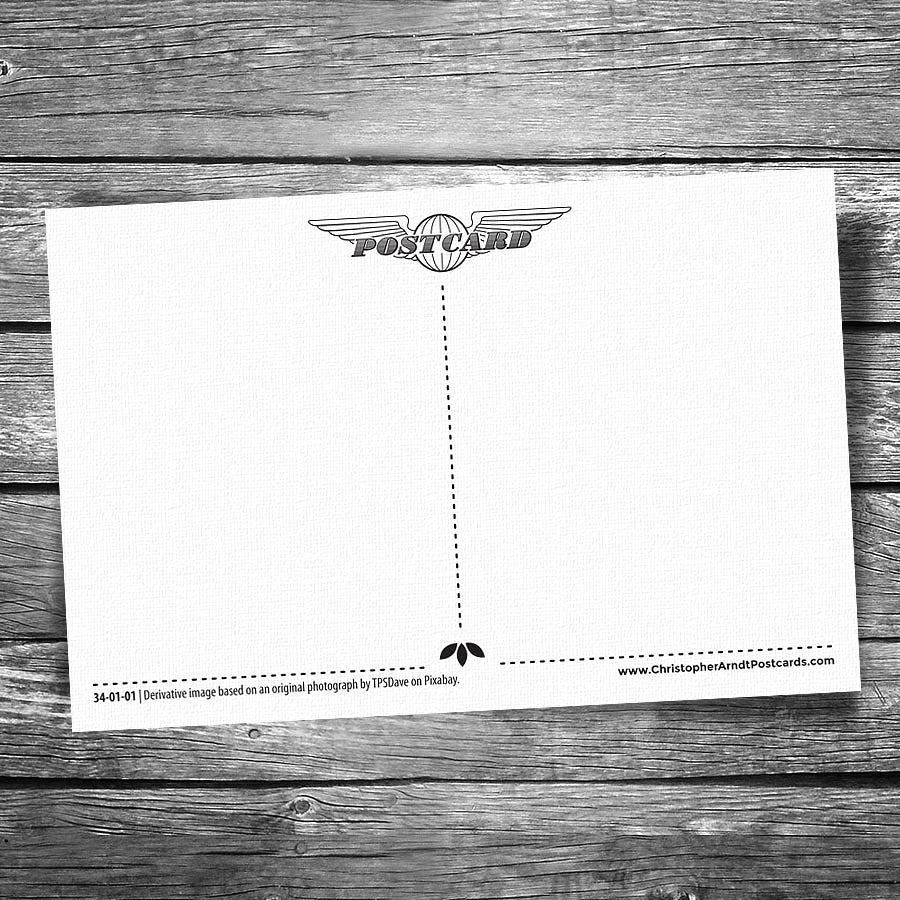 Thank You Confetti Postcard