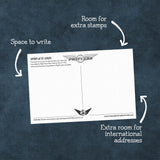 Airplanes of Aviation History Postcards | Set of 16