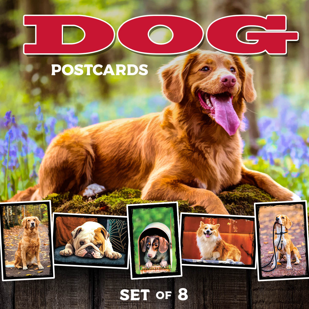Dog and Puppy Postcards | Set of 8