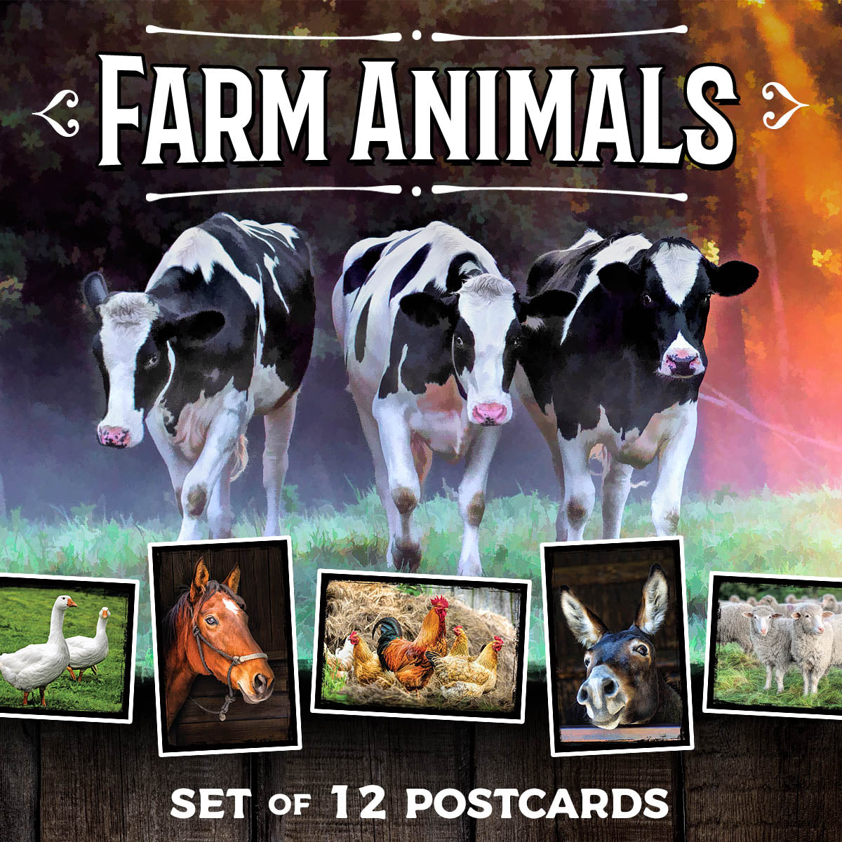 Farm Animal Postcards | Set of 12