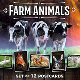Farm Animal Postcards | Set of 12