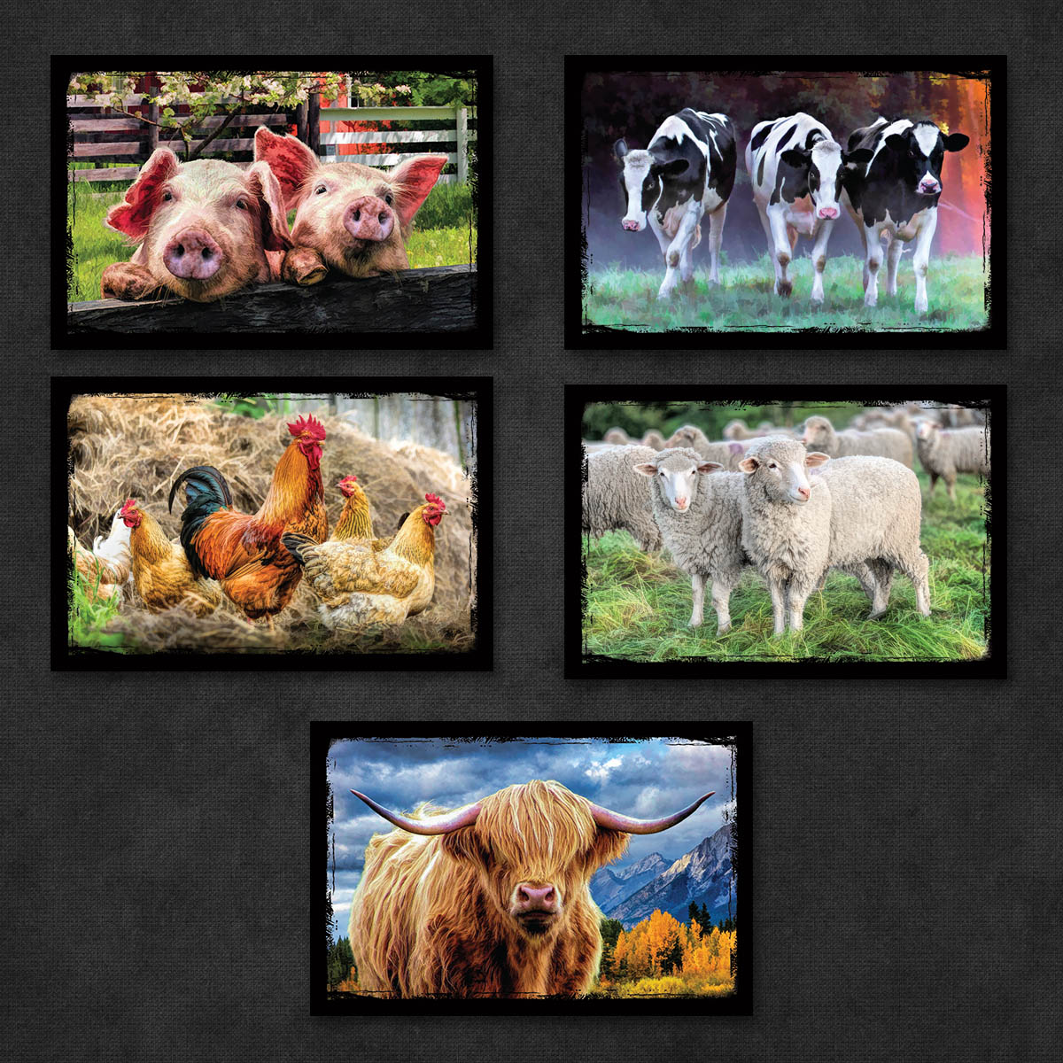 Farm Animal Postcards | Set of 8