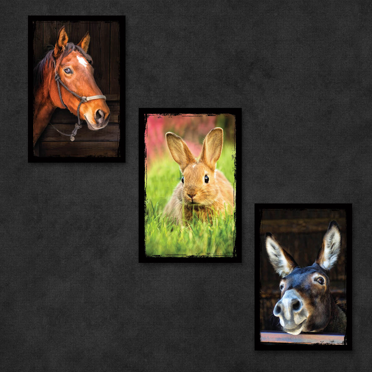 Farm Animal Postcards | Set of 8