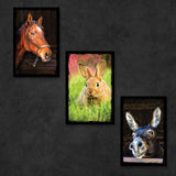 Farm Animal Postcards | Set of 8