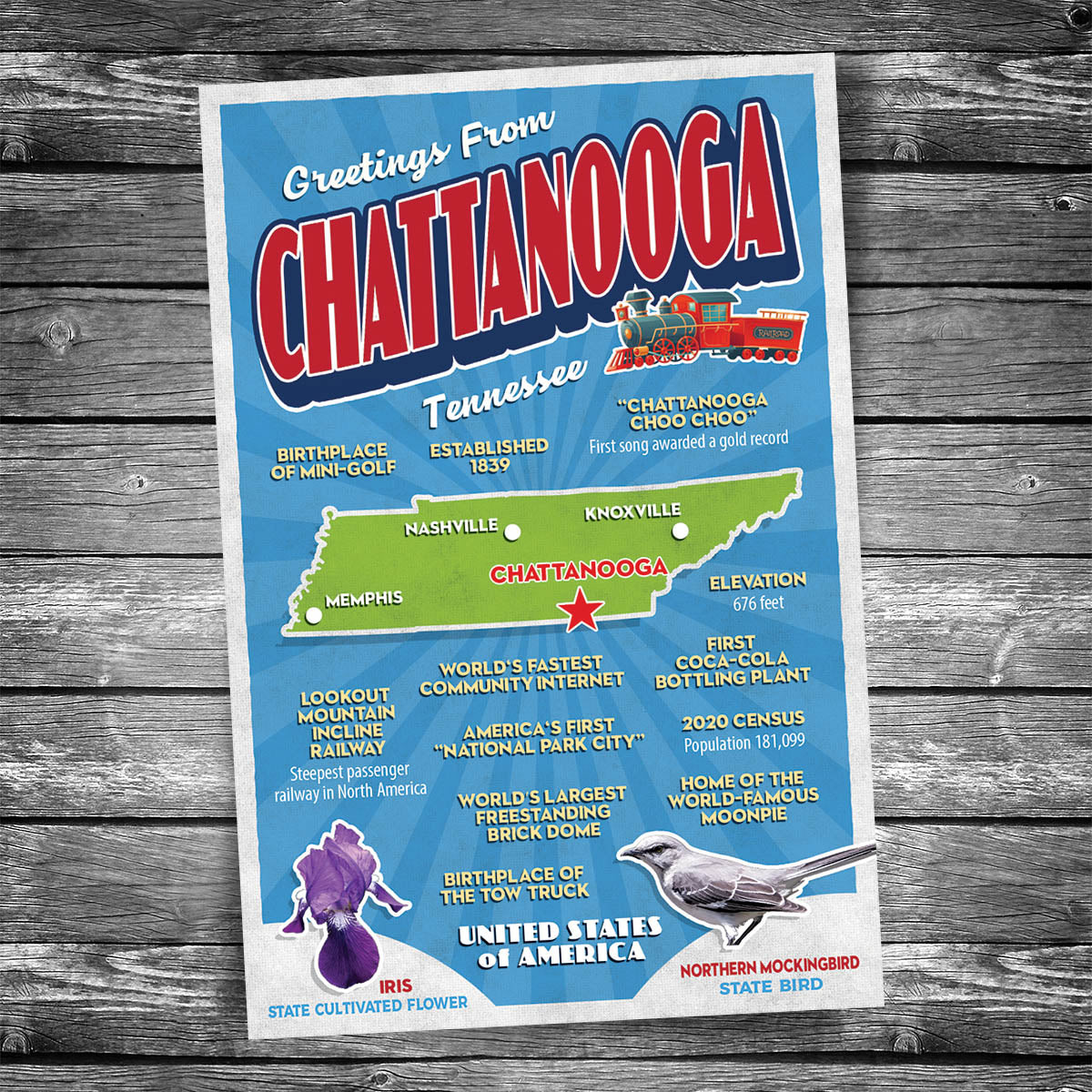 Greetings from Chattanooga TN Postcard | Set of 8
