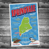 Greetings from Springvale ME Postcard | Set of 8