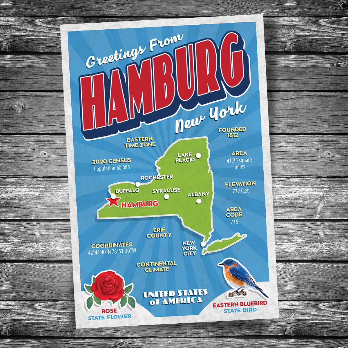 Greetings from Hamburg NY Postcard | Set of 8