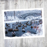 Central Park Ducks | 5x7 Blank Card