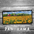Field of Sunflowers Panorama Postcard