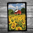Door County Field of Sunflowers Postcard