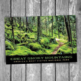 Baxter Creek Trail Smoky Mountain National Park Postcard