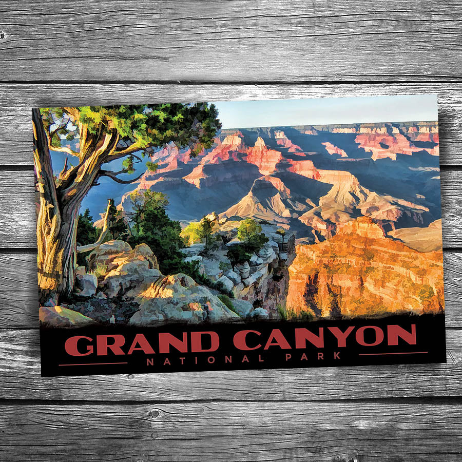 Grand Canyon National Park Tree Ledge Postcard