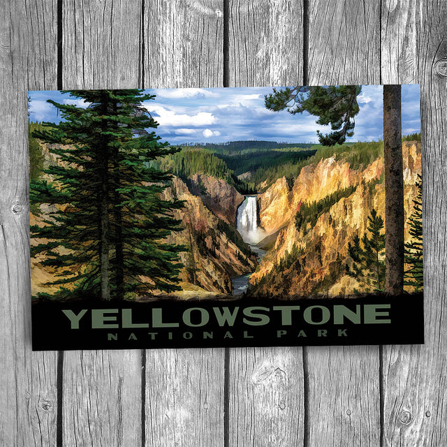 Yellowstone National Park Canyon Waterfall Postcard