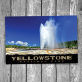 Yellowstone National Park Beehive Geyser Postcard