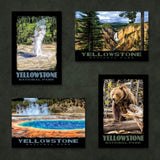 Yellowstone National Park Postcards | Set of 8