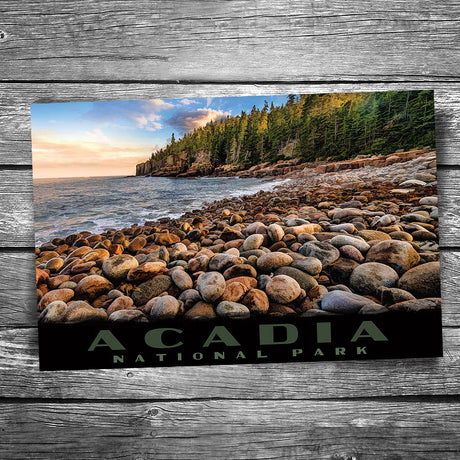 Acadia National Park Boulder Beach Postcard