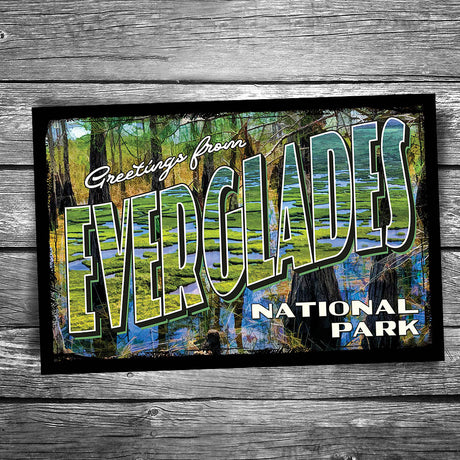 Greetings From Everglades National Park Postcard