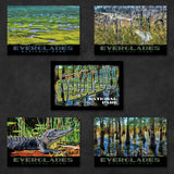 Everglades National Park Postcards | Set of 5