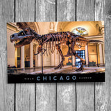 Chicago "Sue" Tyrannosaurus Rex Postcard