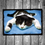 Exhausted Kitten Postcard