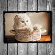 Soup Bowl Cat Postcard