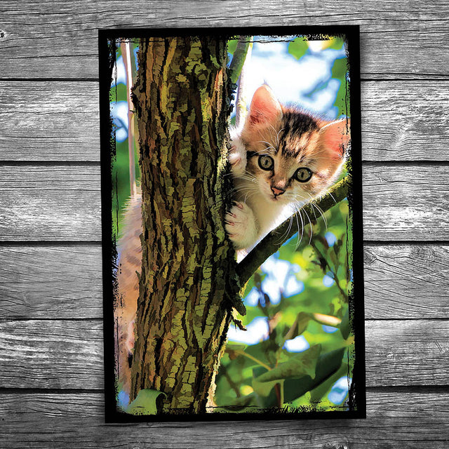Cat in a Tree Postcard