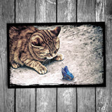 Hello Mr Butterfly Cat Postcard