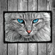 Blue Eyed Cat Postcard