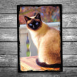 Siamese Cat Postcard