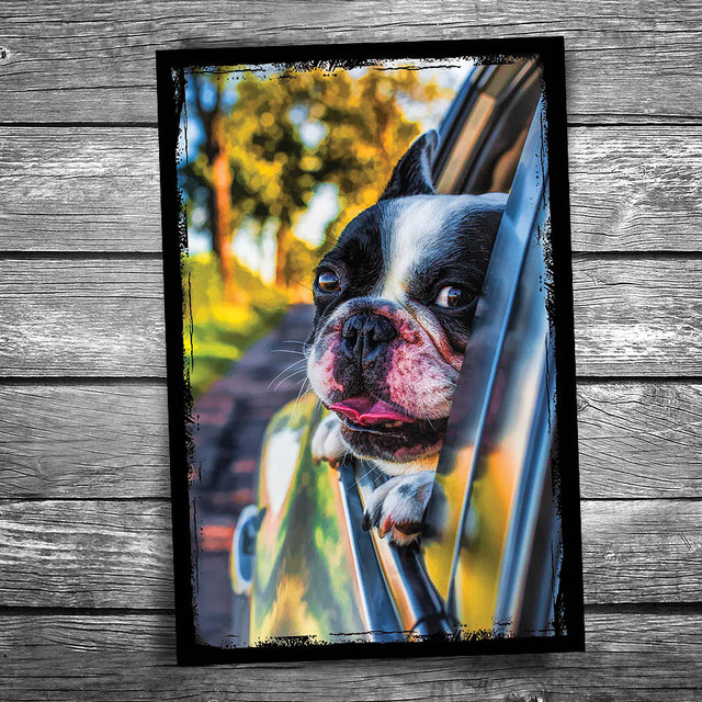 Car Window Dog Postcard