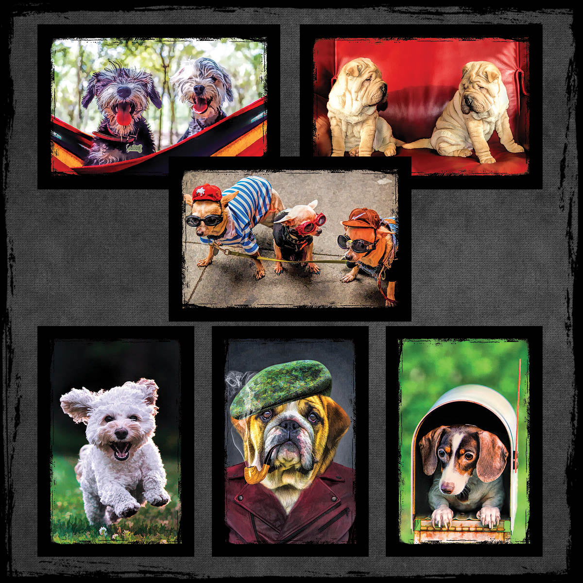Dog and Puppy Postcards | Set of 12